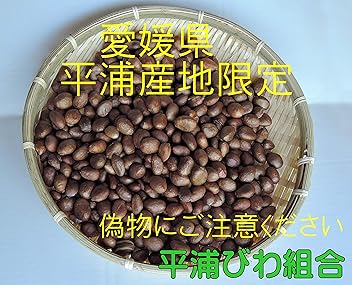 ビワの種　約5kg大小入り混じり　② びわ」の人気商品一覧 | 安い商品を通販サイトから探す - 価格.com